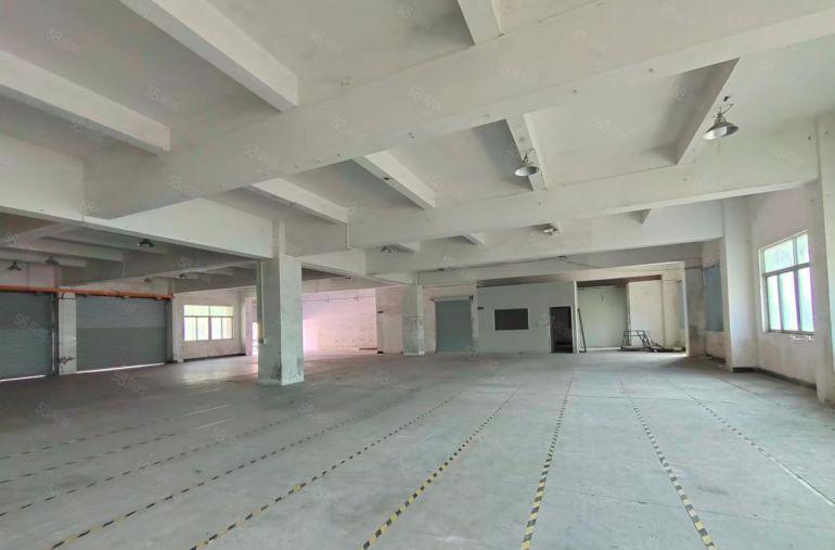 虎门镇赤岗一手房东一楼900平厂房出租