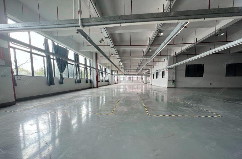 虎门树田200平起12元形象超好办公室地坪漆厂房仓库出租