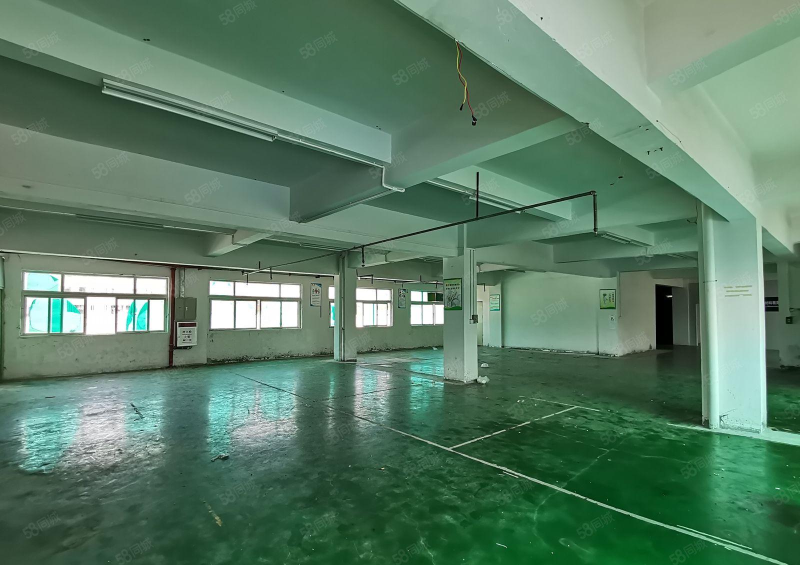 虎门树田靠长安附近楼上550平带装修 办公室水电齐全