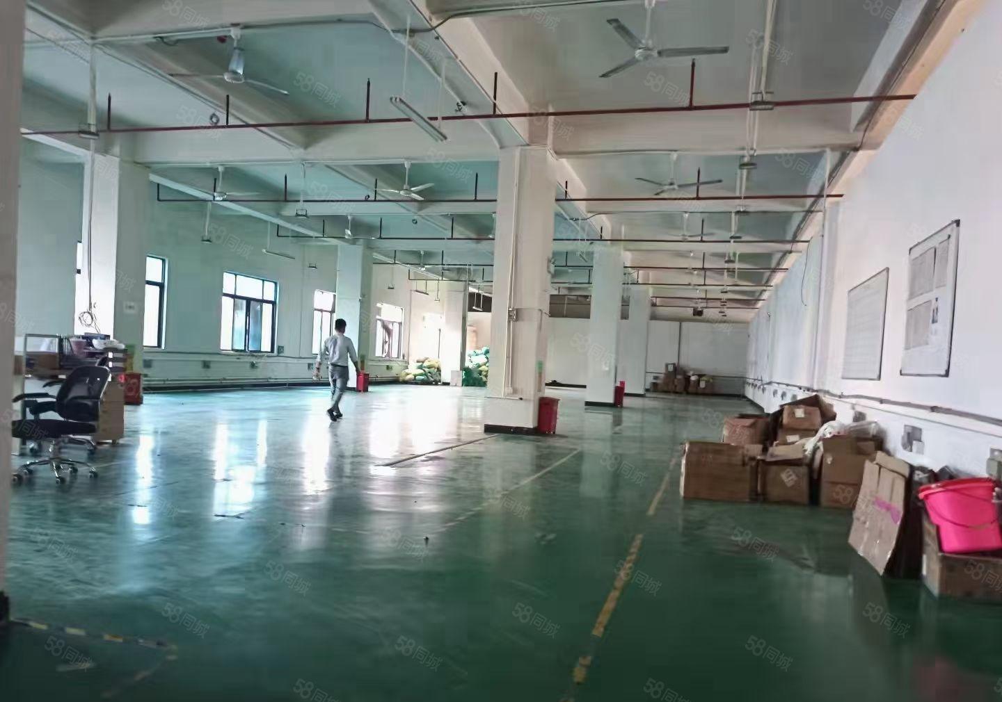 现成装修水电齐全，虎门镇怀德雅瑶新出五楼1250平米出租