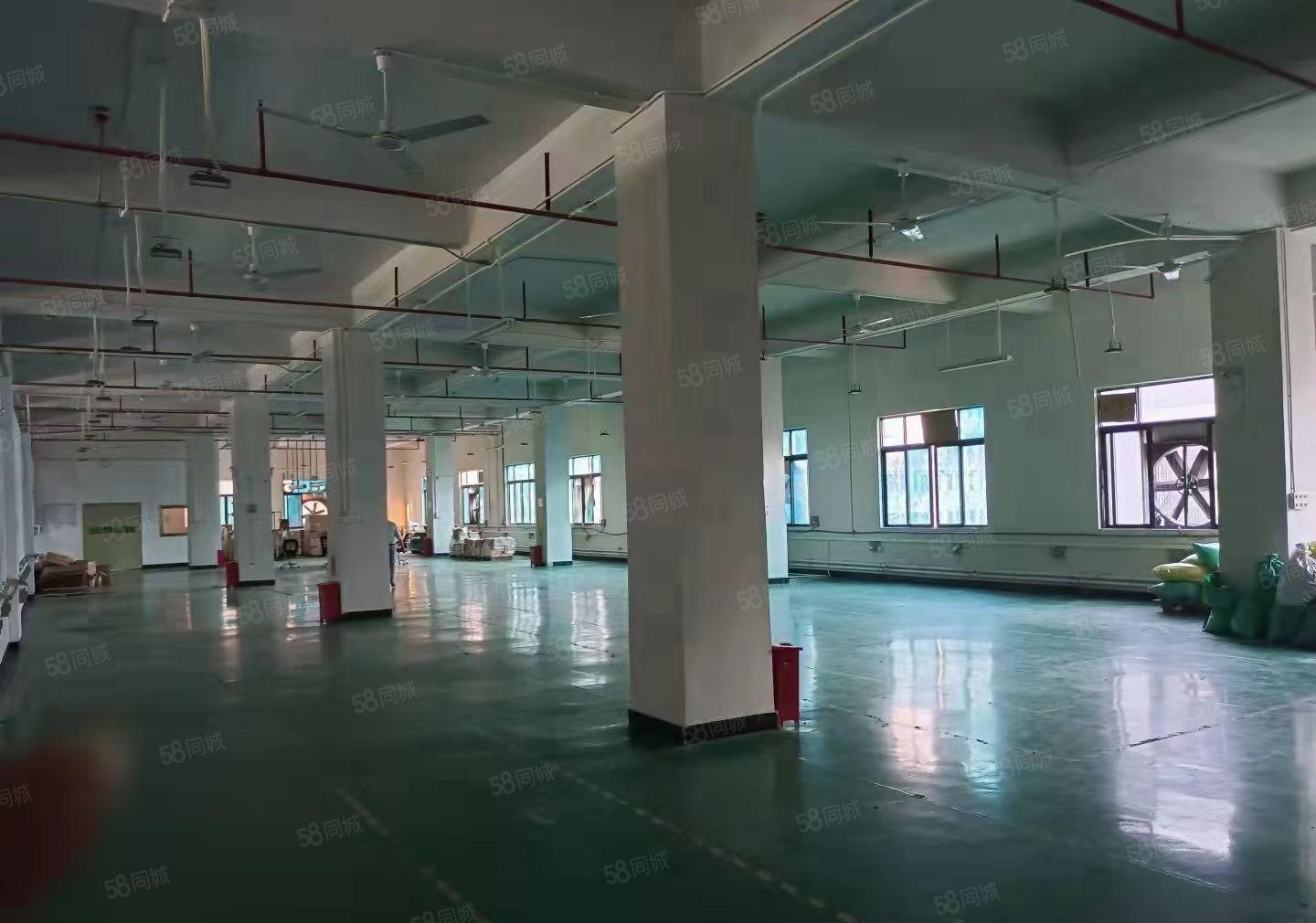 虎门怀德楼上1800平 2900平带装修厂房 可办环评