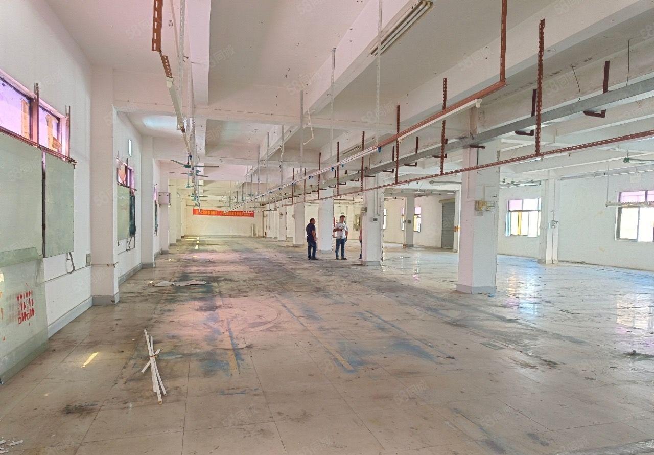 东莞虎门镇原房东独门独院厂房出租配套齐全可办环评