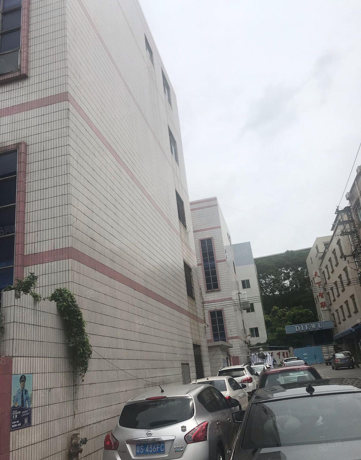 虎门威远炮台附近一二层厂房出租