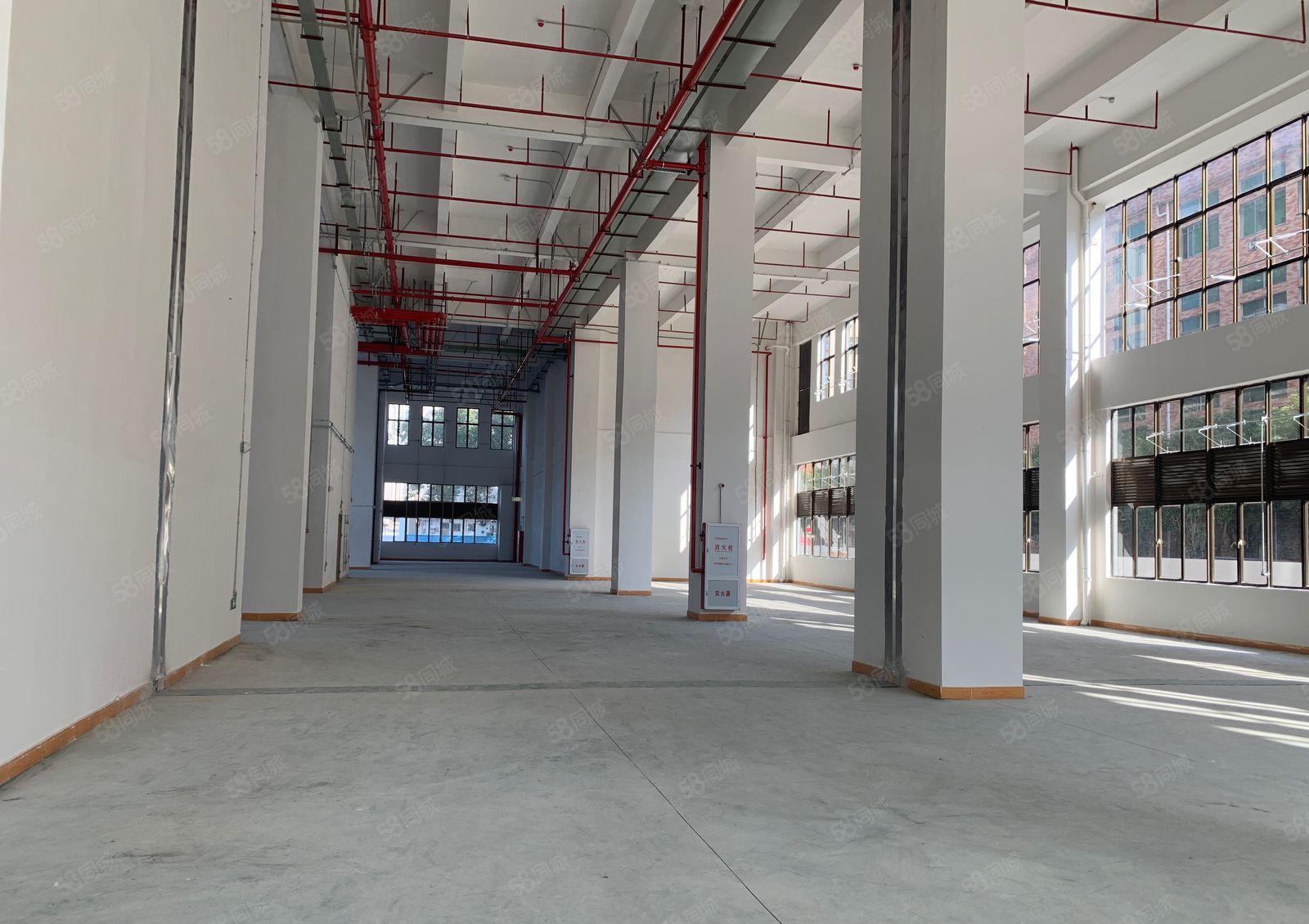 免租期3个月！虎门大宁新建厂房4万平方可分租！可办环评