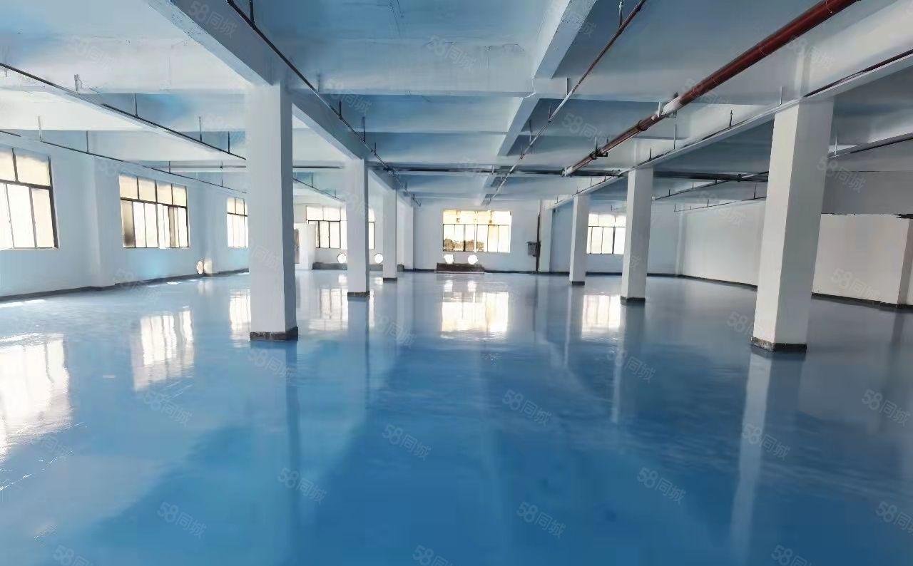 虎门镇龙眼工业区园区独栋厂房三层3000平米带装修可以分层租