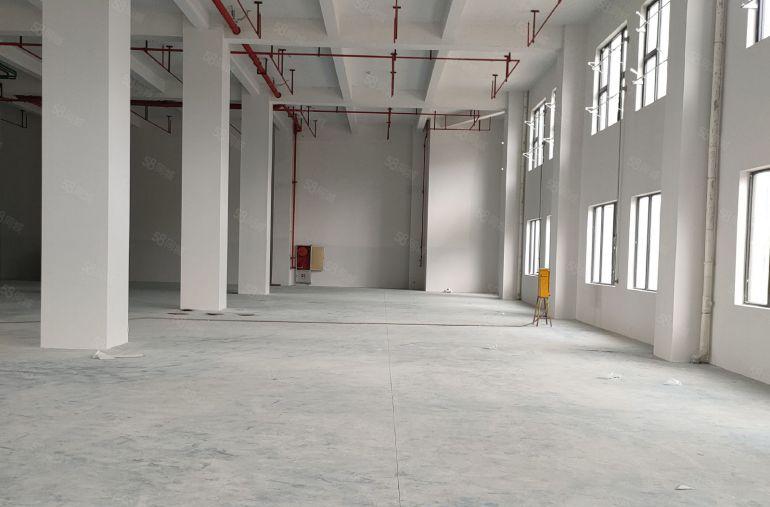 虎门镇龙眼原房东自建全新红本厂房一楼2800方到顶8米