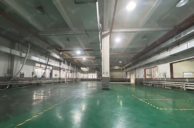 虎门怀德原房东独门独院4800平方精装装修厂房可分租