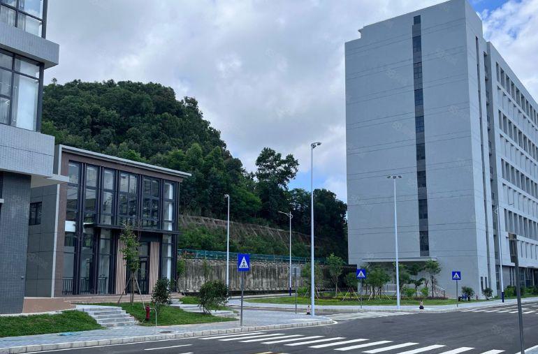 虎门镇新建花园式厂房出租，1000平方起租，价格便宜可开票