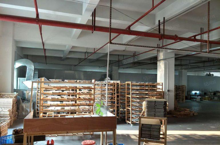 18块租一楼400平和650平！虎门大宁标准一楼厂房低价出租