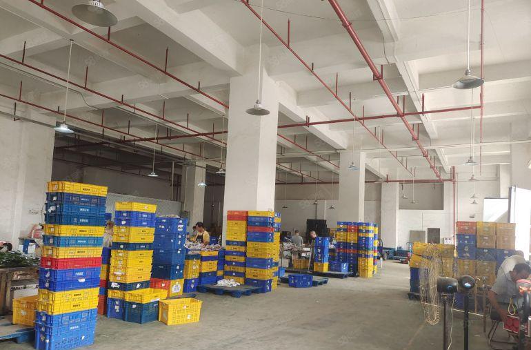 虎门镇南栅原房东分租7米高一楼1350平方厂房出租 可以分租