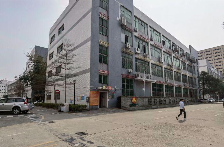 300起分租虎门龙眼3万平园区厂房仓库出租一楼18元楼上9元