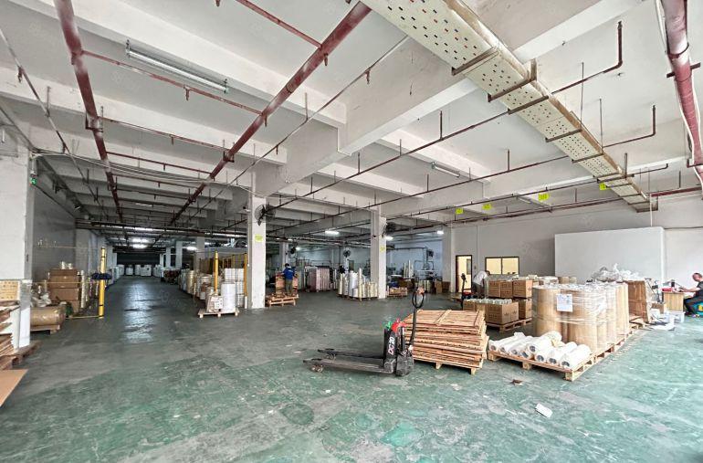 虎门厂房一楼出租，带水电装修大园区空地好停车