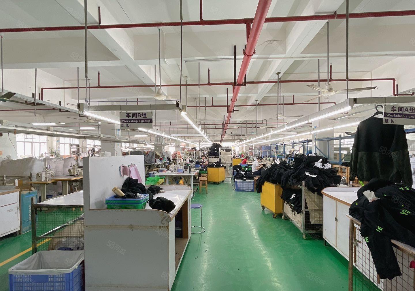 虎门镇一手房东带红本花园式经典独门独院厂房，实际面积！可分租