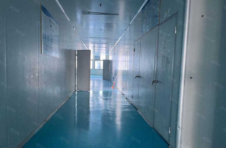 靓精装修树田现成无尘车间可以做电子烟消法带有喷淋