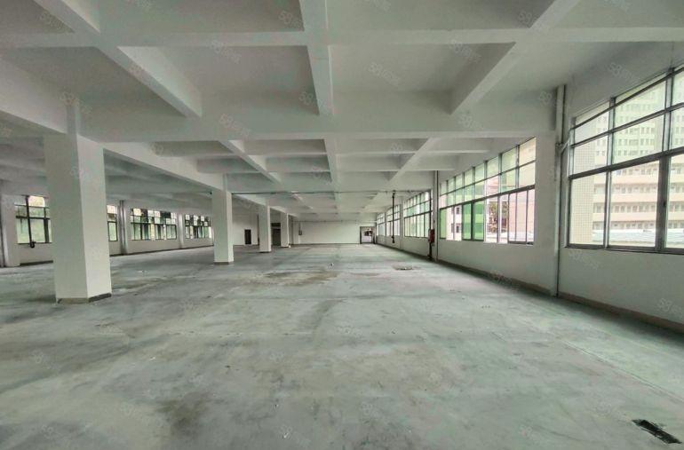 虎门独院厂房8元出租全新地坪漆，空地大交通好