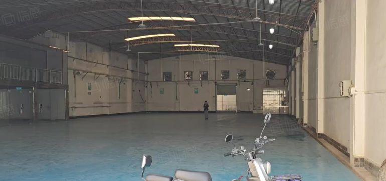 虎门新出钢构独院，水电齐全带精装修办公室