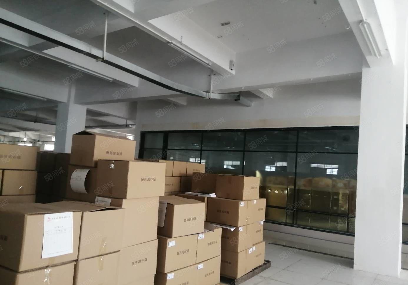 虎门南栅五区新出原房东厂房2680平精装 可办环评