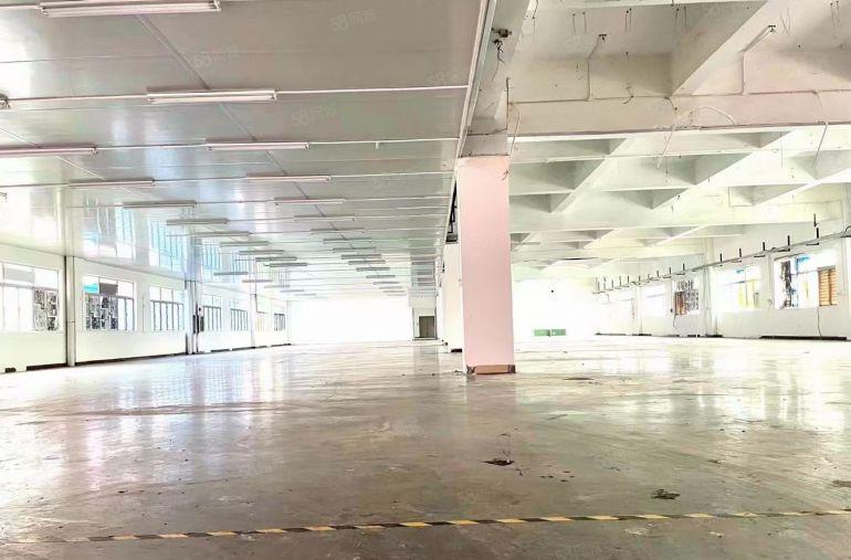虎门10块钱厂房出租，全新厂房分租，水电到每层车间，可办环评
