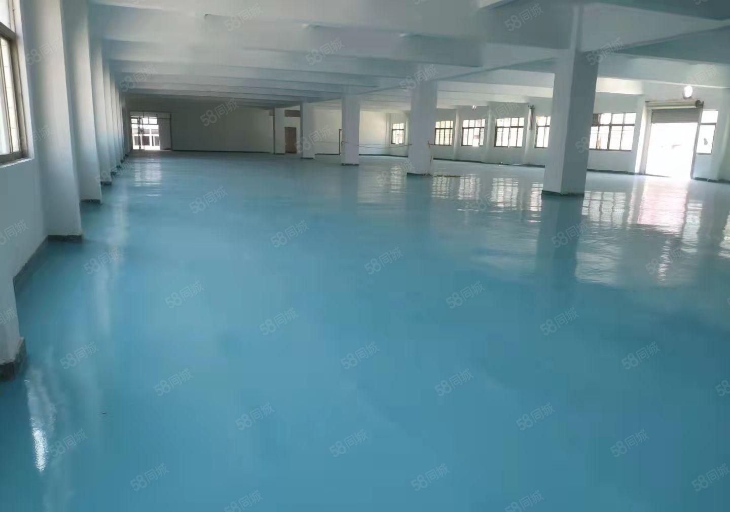 虎门南栅空出楼上2000平现成精装修厂房出租