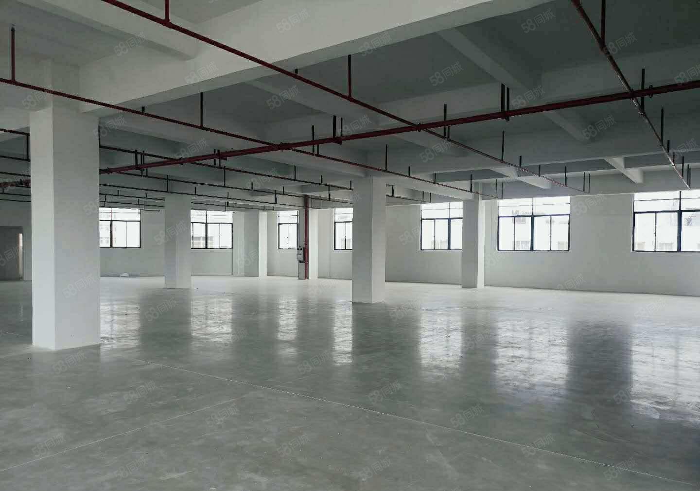 东风社区本地房东厂房招租，650平方，500平方，300平方