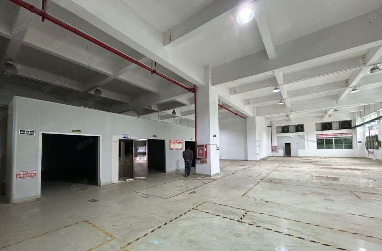 虎门厂房一楼带水电主线到车间，园区靠近长安空地可进大车