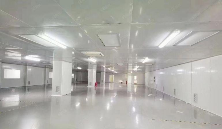 虎门北栅重工业精装修3000平米无公摊厂房出租