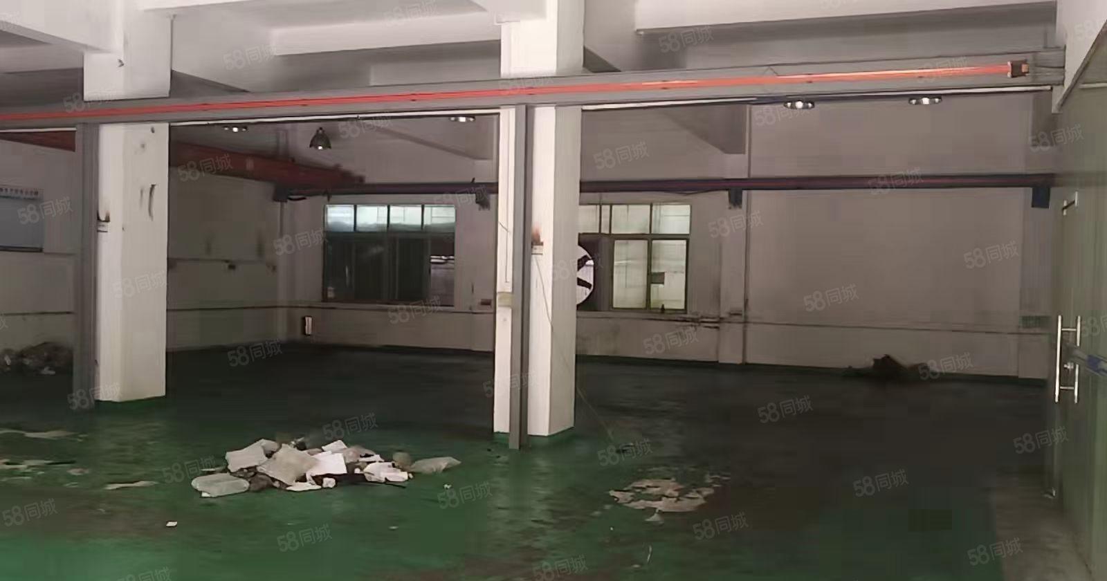 新出一楼厂房650平带航车带办公室形象好空地大