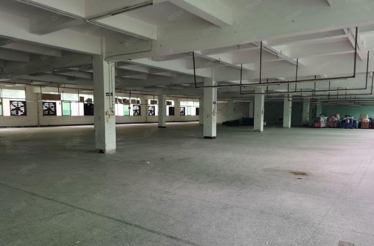 长安独门独院厂房出租，一楼800平方米起租精装修办公室原房东