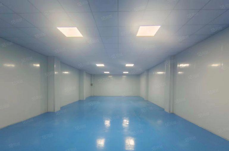 乌沙新出小面积230平全新无尘车间，