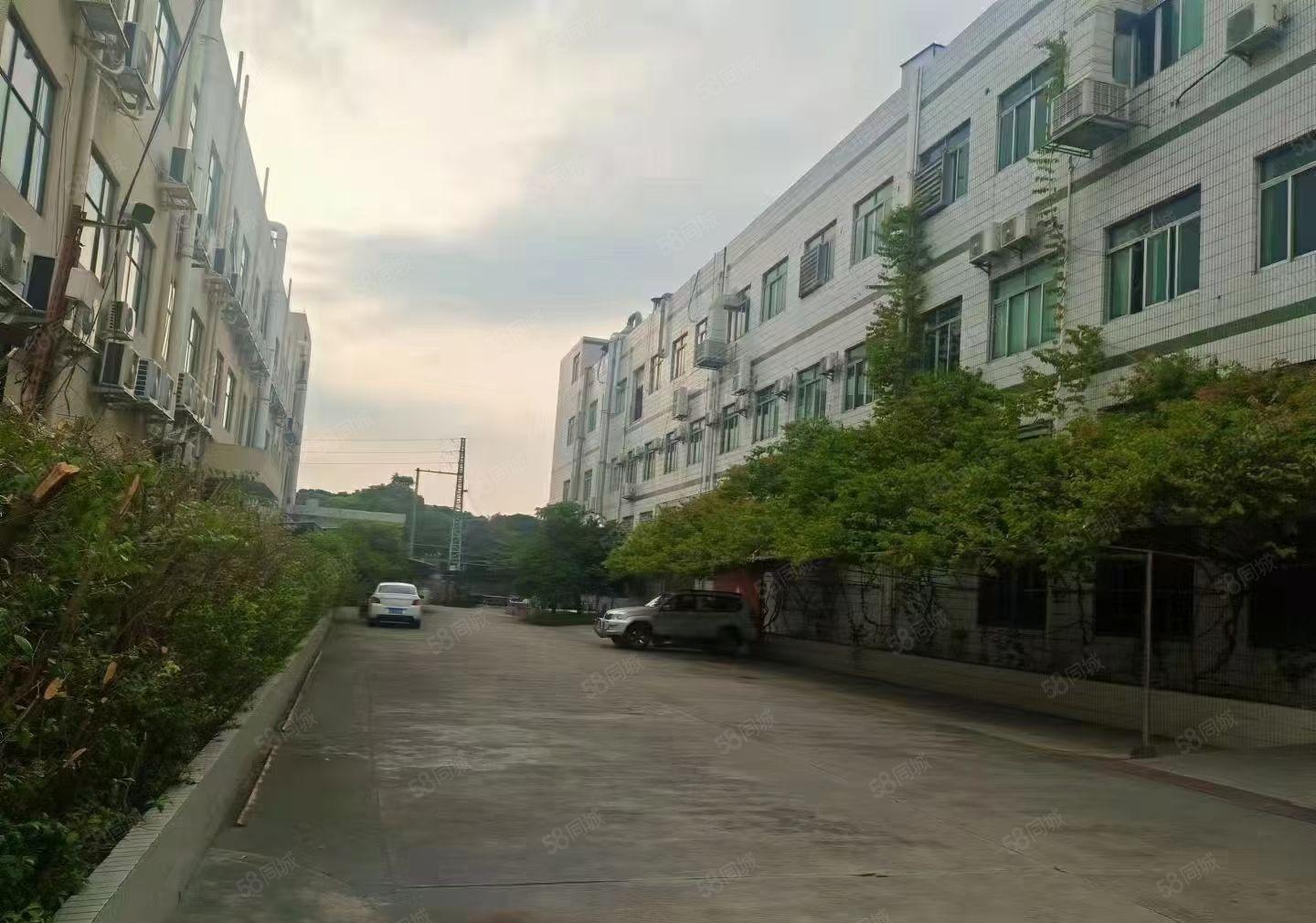 豪华装修水电齐全标准厂房整层出租