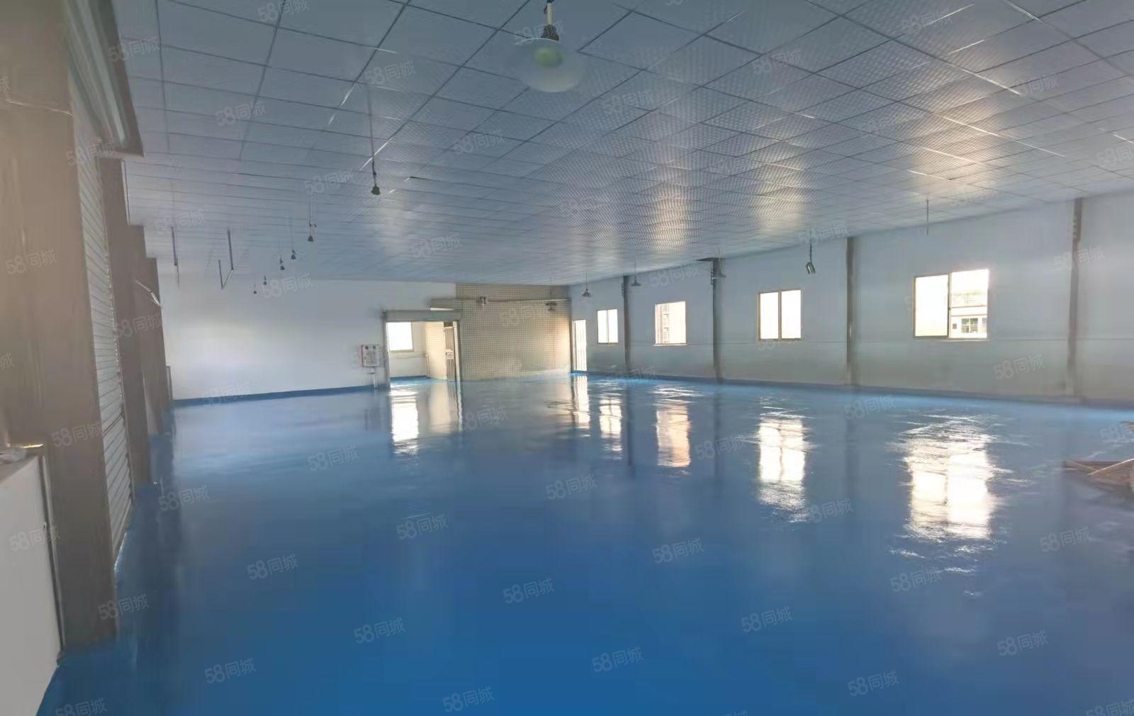 长安厦边新出四楼面积800平方，全新装修，水电到位，