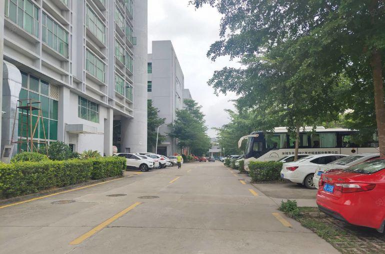 长安沙头工业区原房东花园式红本厂房2楼1500平带精装修出租