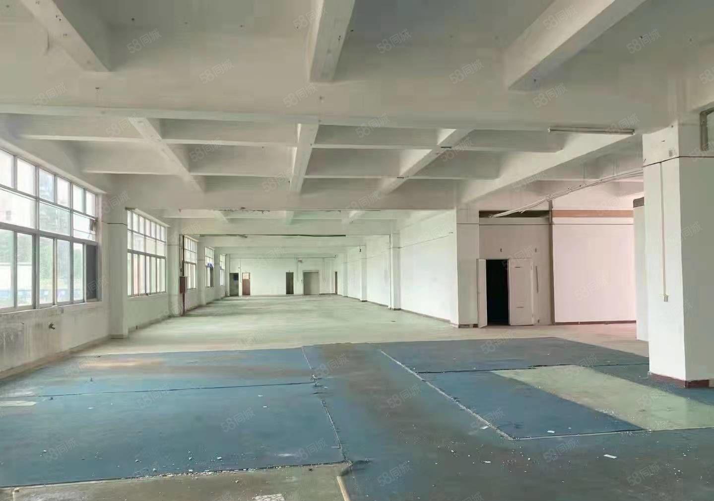 长安乌沙，独门独院，带装修，超大空地，形象好，花园厂房出租