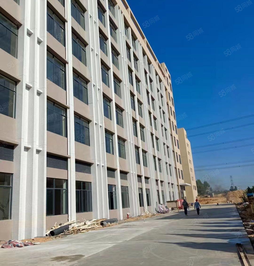 长安沙头新出原房东独院标准厂房建筑面积出租