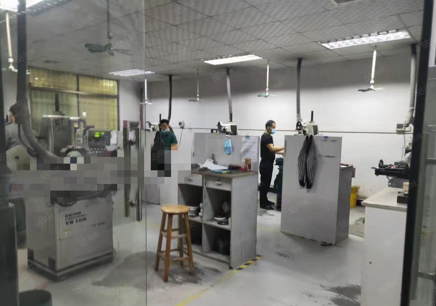 上沙新出标准一楼，精装修520平方厂房出租