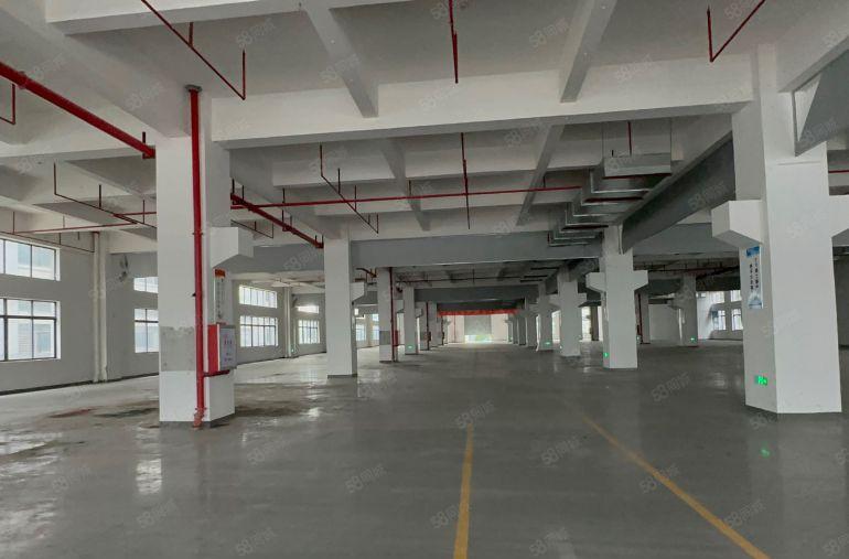 长安镇全新原房东厂房出租，一楼2000平方，层高6米带牛角