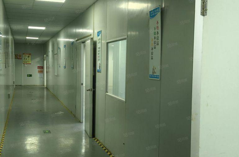 出租长安800平厂房，临近深圳，带精装办公室，园区空地大