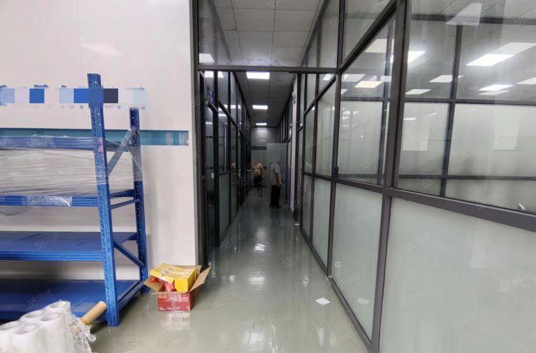 精装修层高6米，长安乌沙新出一楼800平厂房低价出租