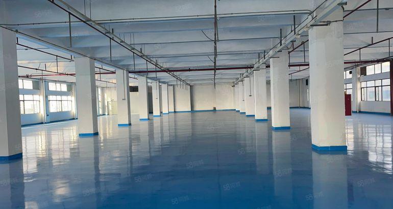 长安沙头大康惠附近新出一楼高5米实际1800平，实业客甩租