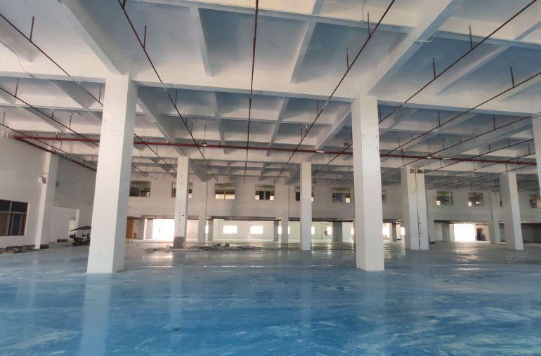 长安上沙空出一楼 8米高重工业  大小都可分租  厂房出租