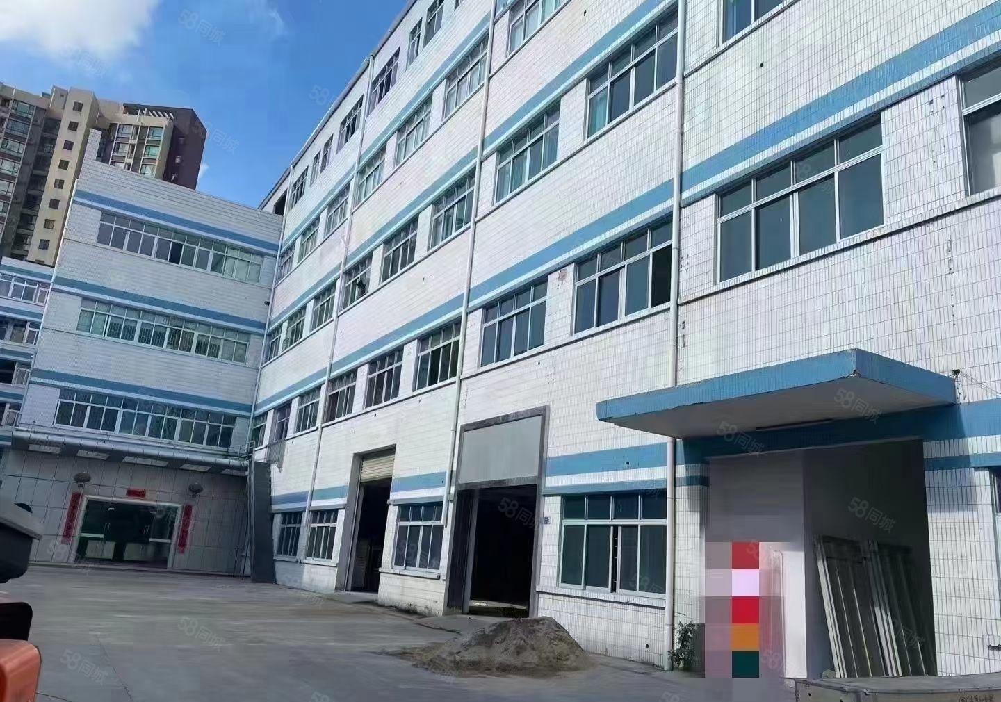 豪华装修二楼标准厂房出租