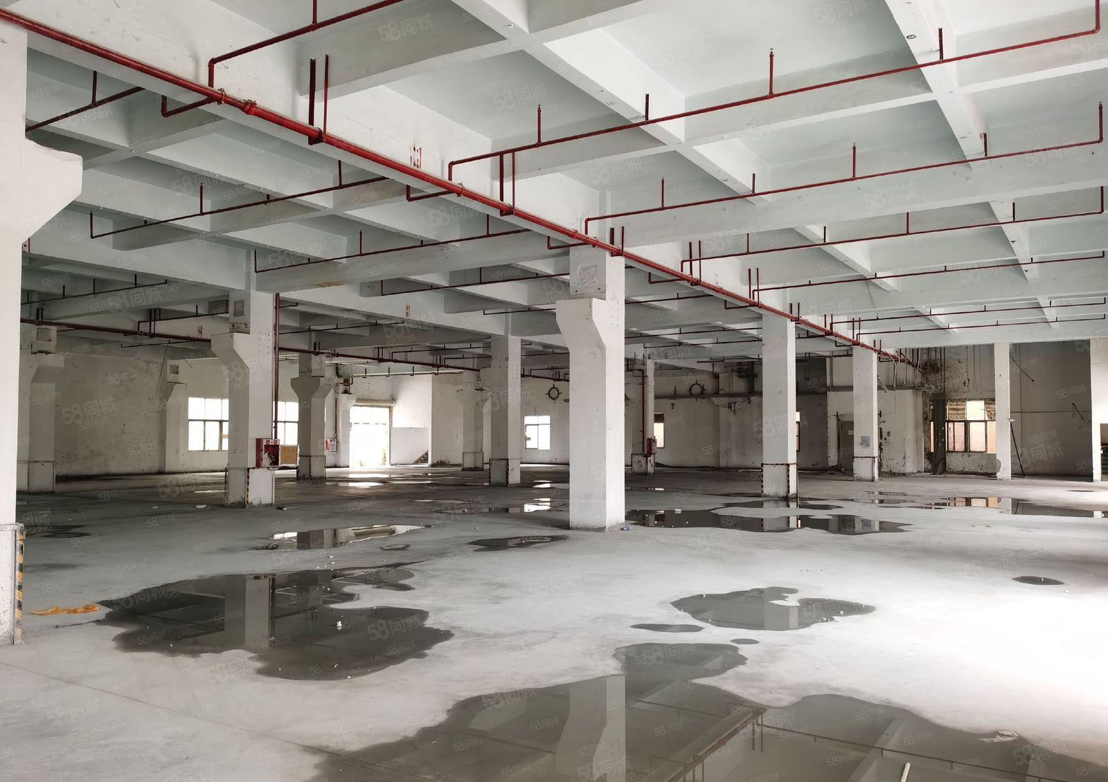 长安镇G107旁独院一楼3000平厂房出租带牛角可办环评