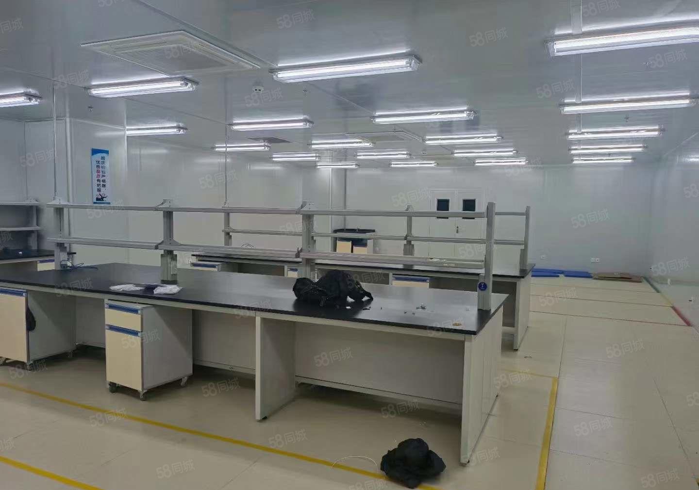 长安镇沙头社区两层无尘车间厂房出租7800平无转让费 可分租