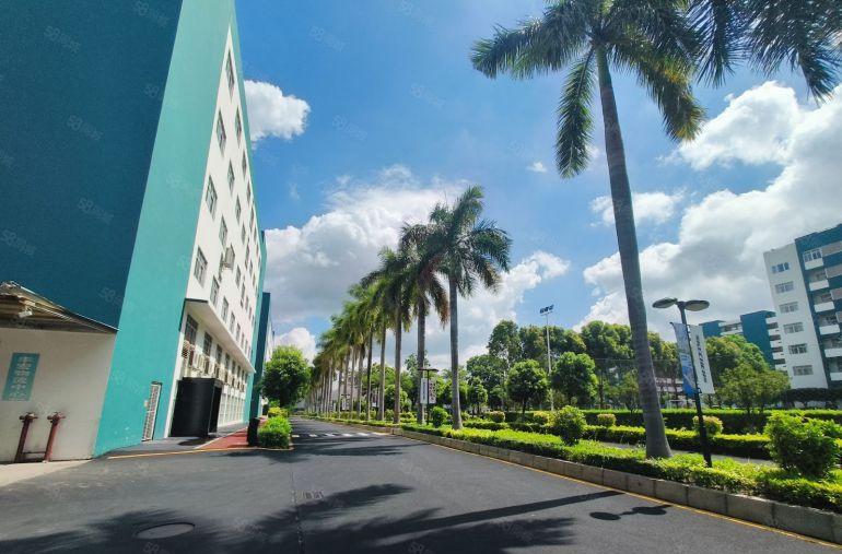 长安200平起租零公摊高7.5米带卸货台厂房出租35000平