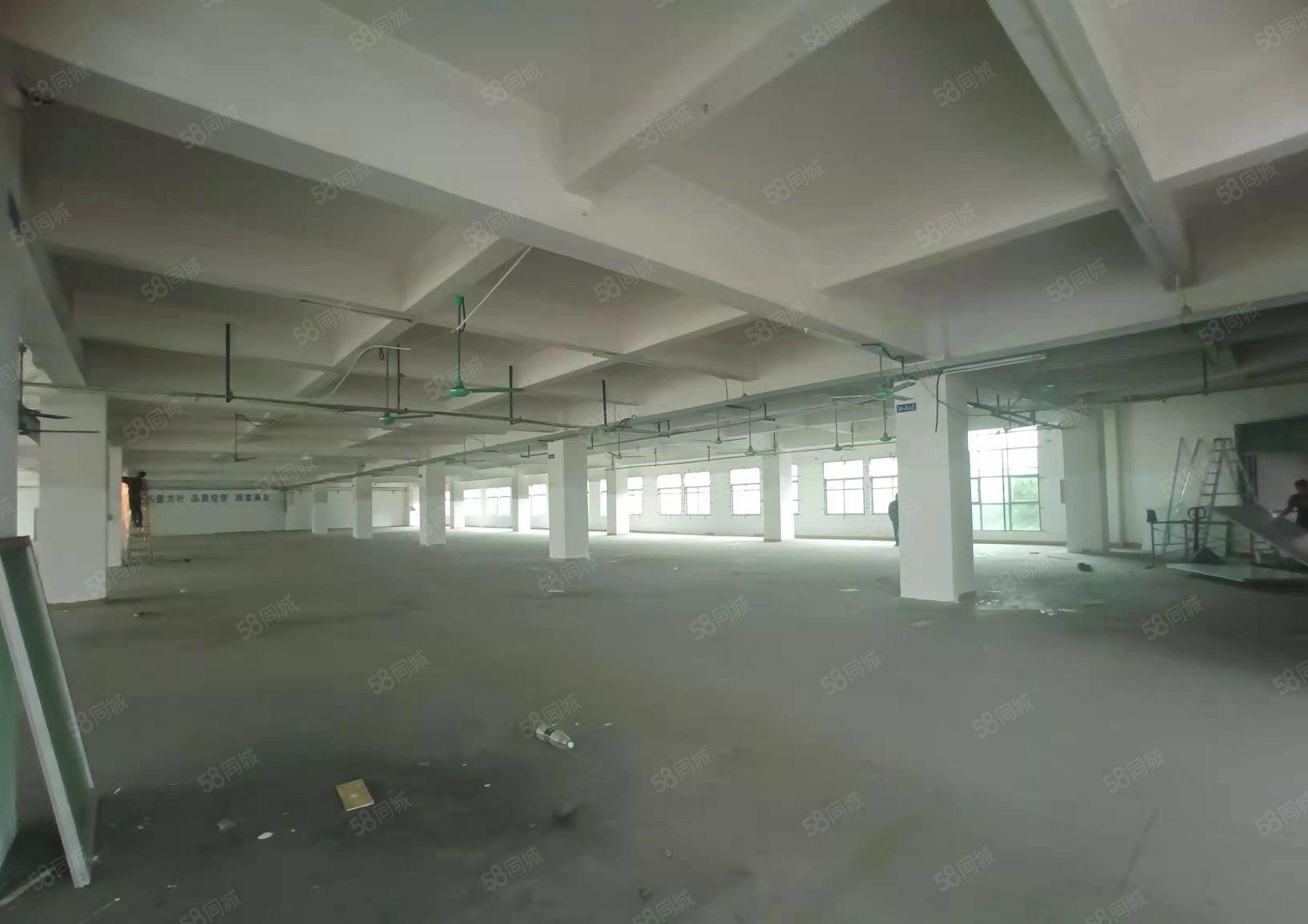 长安镇工业园区独栋标准厂房出租8000平米主干道边交通便利