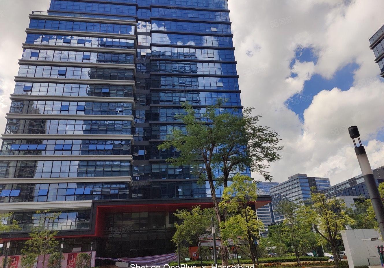 东莞长安原房东工业园区全新厂房20000平厂房出租200起分