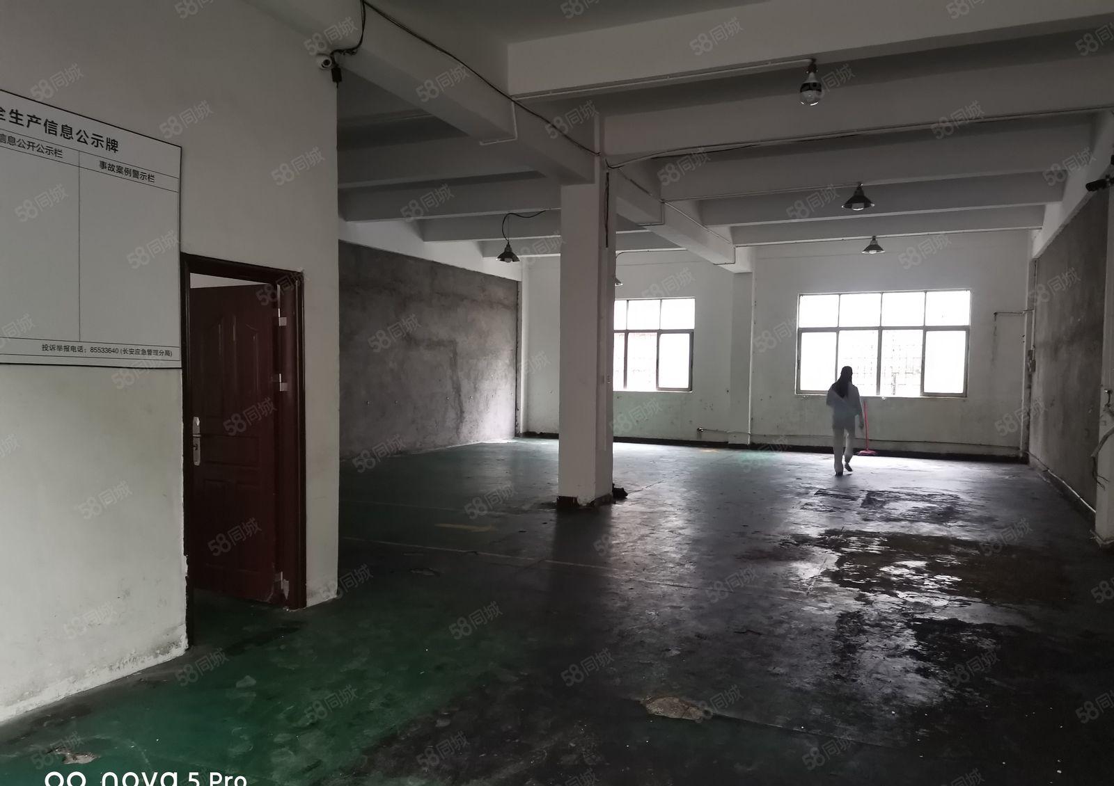 长安乌沙大润发附近标准厂房一楼300方，带办公室装修主线