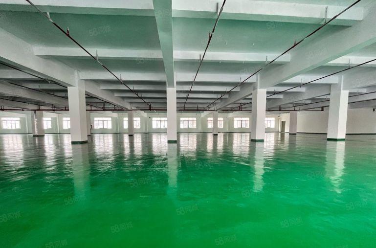 长安锦厦独院2000平厂房出租 临界深圳 低价出租 水电齐全