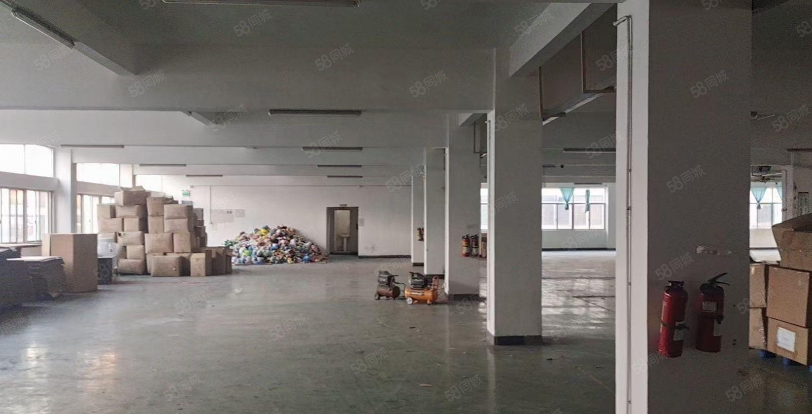 长安镇新安广深高速路口新出独院8600平厂房出租 大小可分租