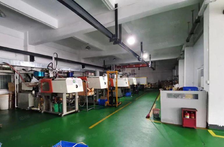 长安镇107国道边上，新出一楼一手房东带航车，300平起分租